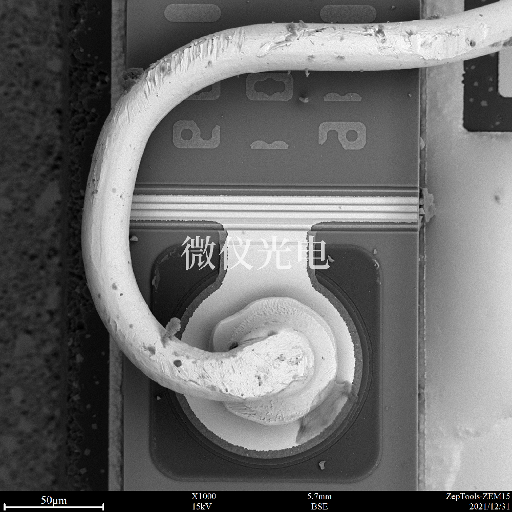 一般情況普通掃描電鏡多少錢？