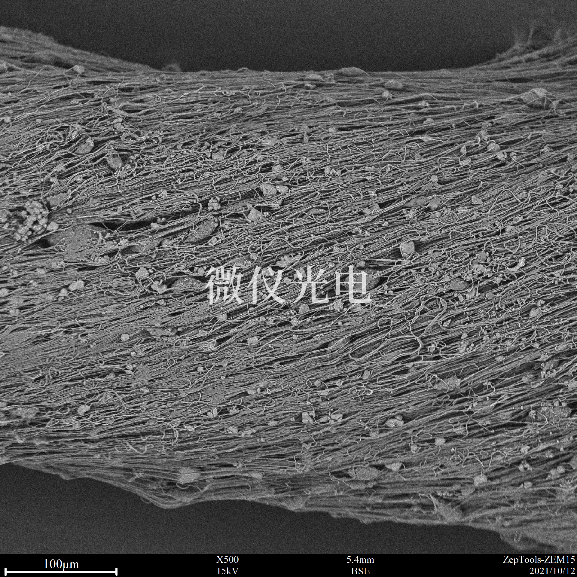 掃描電鏡下的紡絲.png 掃描電鏡下的紡絲.png