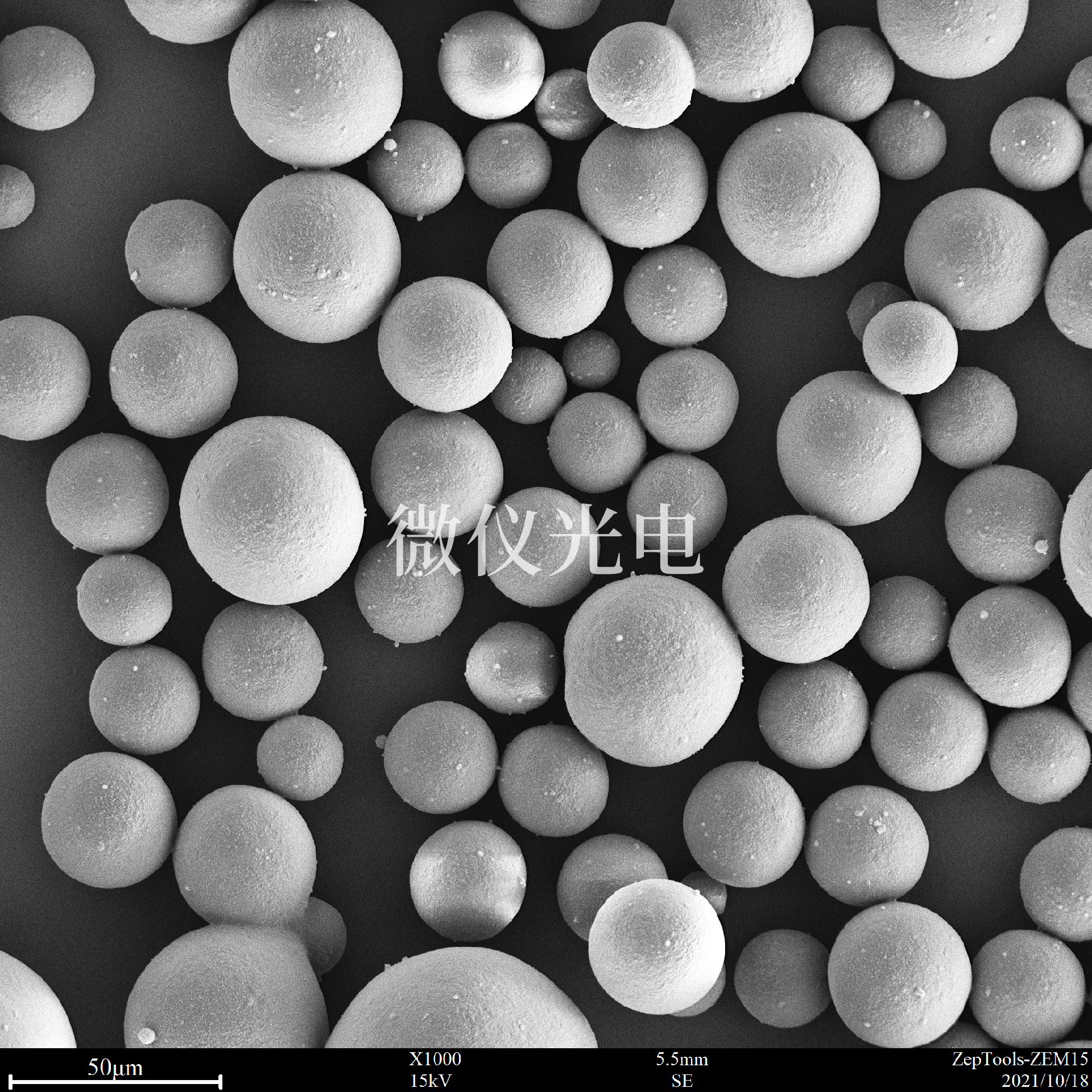 臺(tái)式掃描下的藥物.png 臺(tái)式掃描下的藥物.png