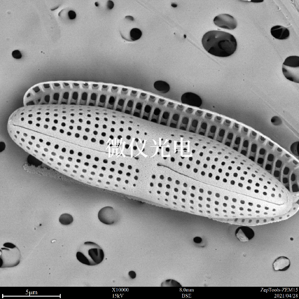 掃描電子顯微鏡的類(lèi)型有這些你之前了解過(guò)嗎？